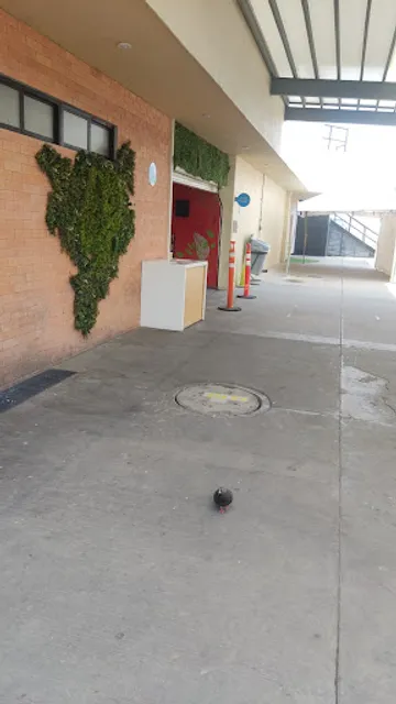 La borra del Café Flex Norte