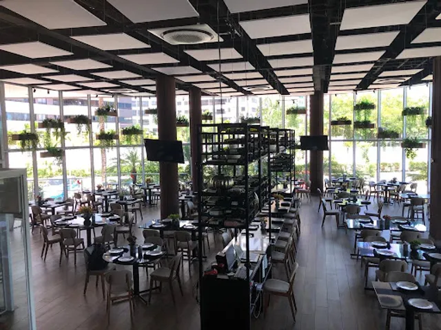 JOHN'S Grill Wine Salad