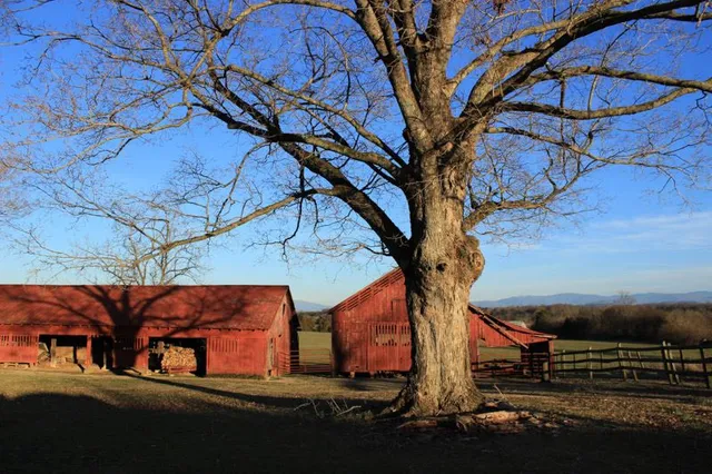 Monroe County Animal Shelter/Eastbourne Animal Center