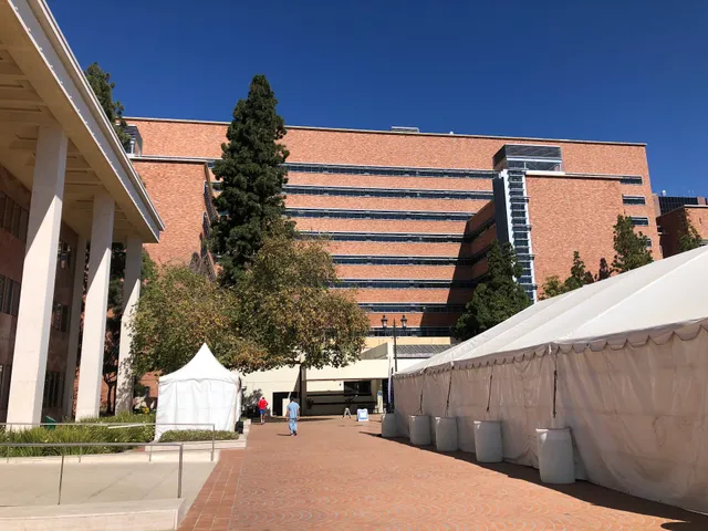 David Geffen School of Medicine at UCLA