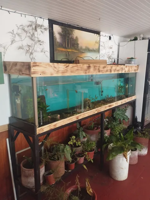 Pollería y heladeria Pozo de Oro