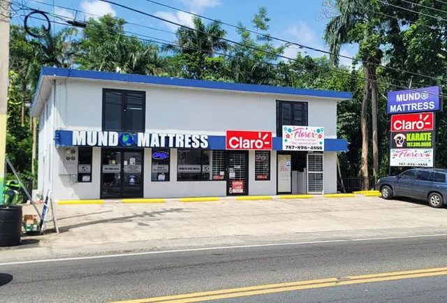 Mundo Mattress - San Sebastián