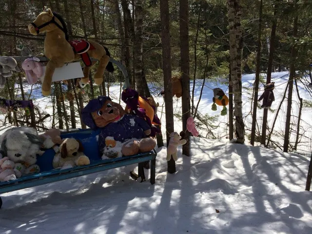 Chalet Petit Chantecler