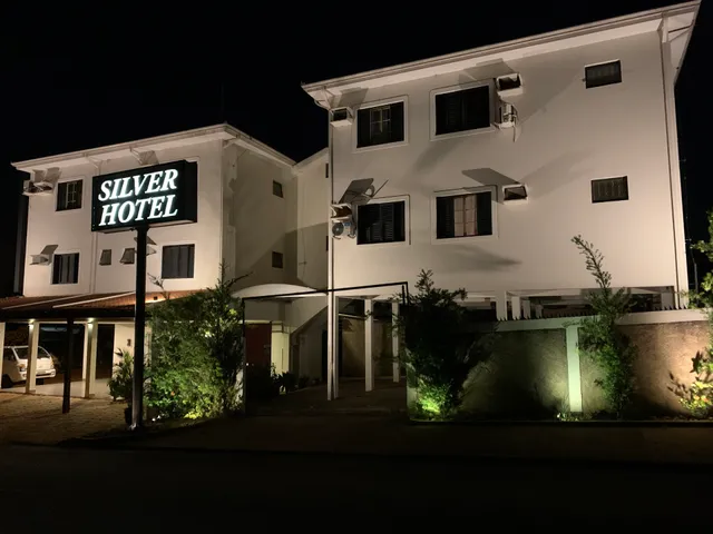 Hotel Silver