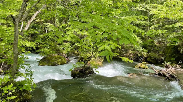 Oirase Stream Eco Road Festa