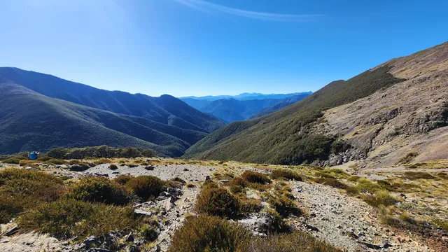 Mount Richmond Forest Park