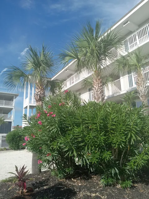 Tybee Oceanfront Condo