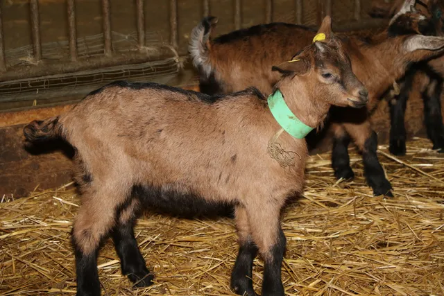 Farm Holidays Monterosso