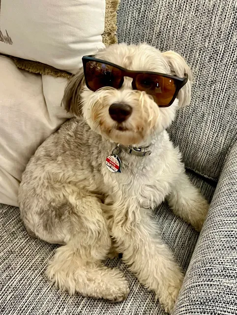 Island Classic Interiors