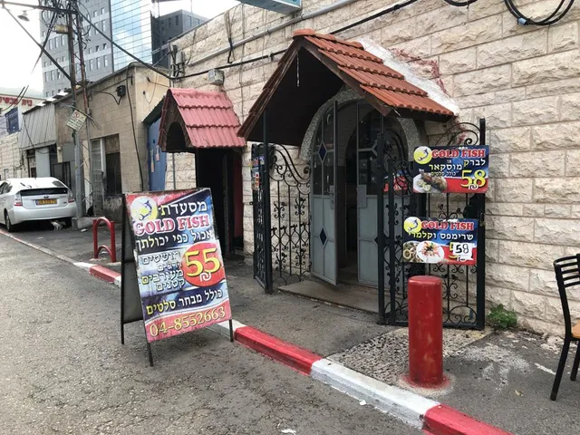 Gold Fish Haifa