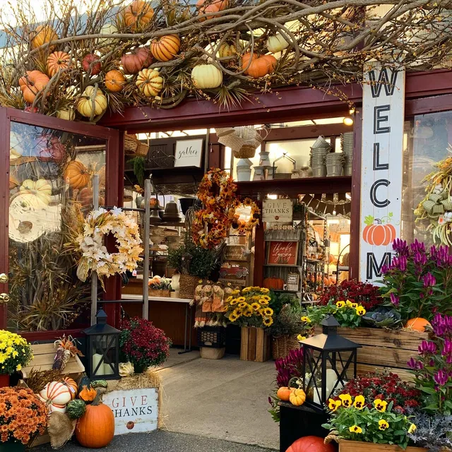 Lily's Carle Place Garden Center