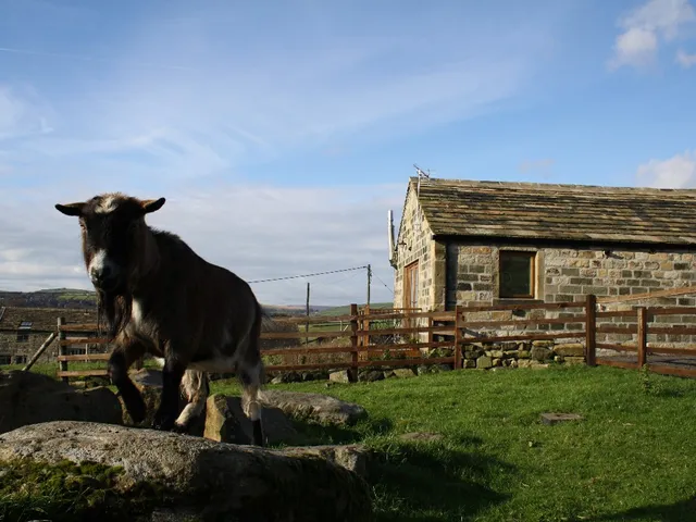 Piglet's House at Carrs Farm