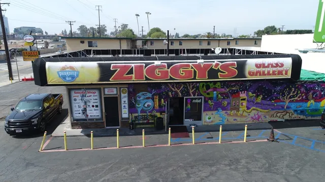 Ziggy's Smoke Shop