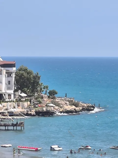 MERSIN Ayaş yemişkumu