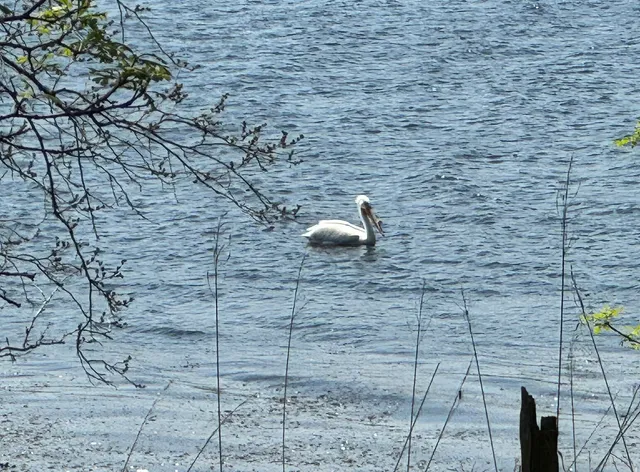 BIG STONE LAKE STATE PARK CAMPGROUND