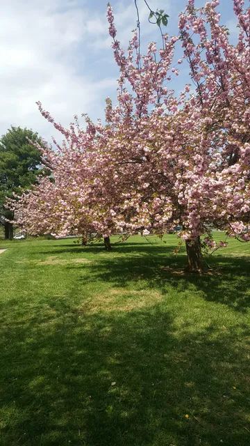 Bethesda United Church of Christ