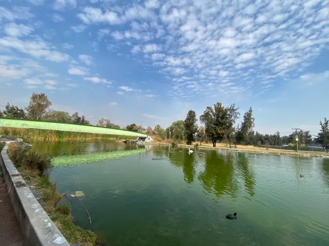 Bosque de Aragon entrada #8