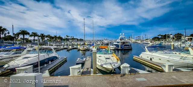 Pier 44 Marina