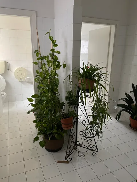 photo-3