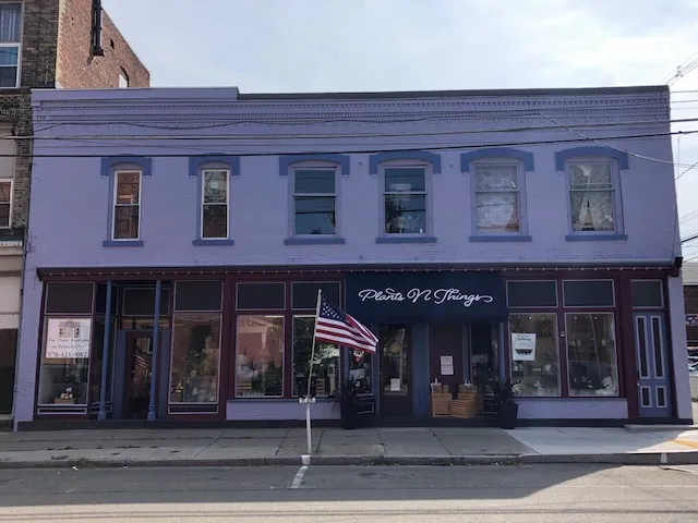 Urban Floral - Sayre - Plants N Things