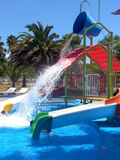 Camping Municipal Dam Swamp