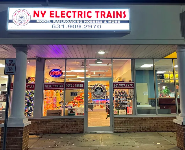 NY ELECTRIC TRAINS