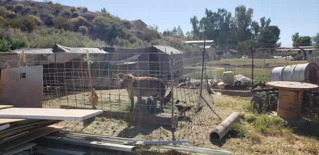 Quail Hollow Farm CSA