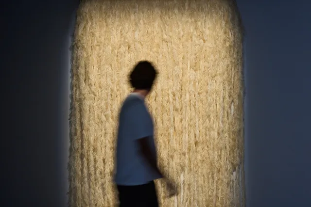 Contemporary Art Tasmania