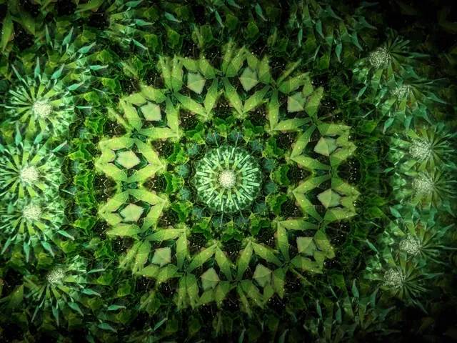 鎌倉ヴィヴァン