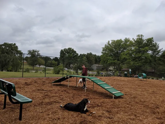 The Dog Park