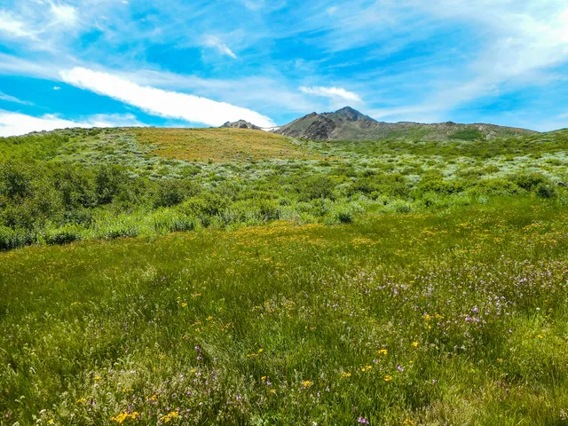 Lye Creek Campground