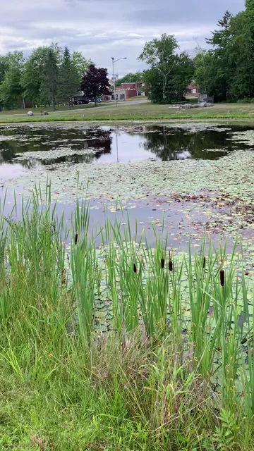 University of Maine at Machias