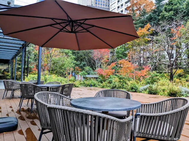 トラピリカ torapirica