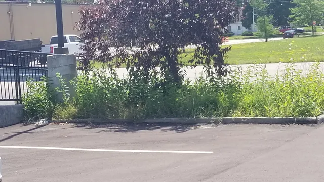 West Allis Department of Public Works (Municipal Yard Hours)