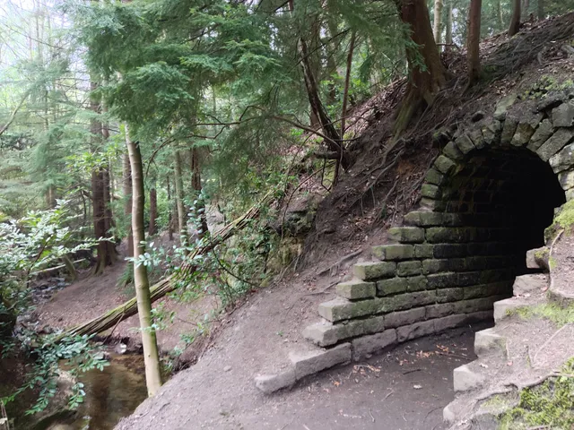 Maspie Den Walk & Waterfall