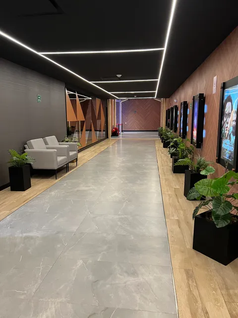 Cinemex Market The Park