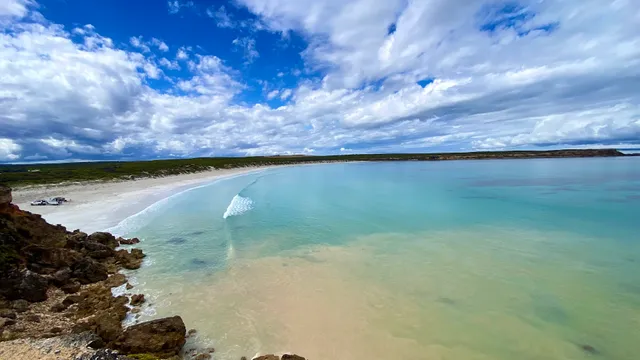 Australian Coastal Safaris