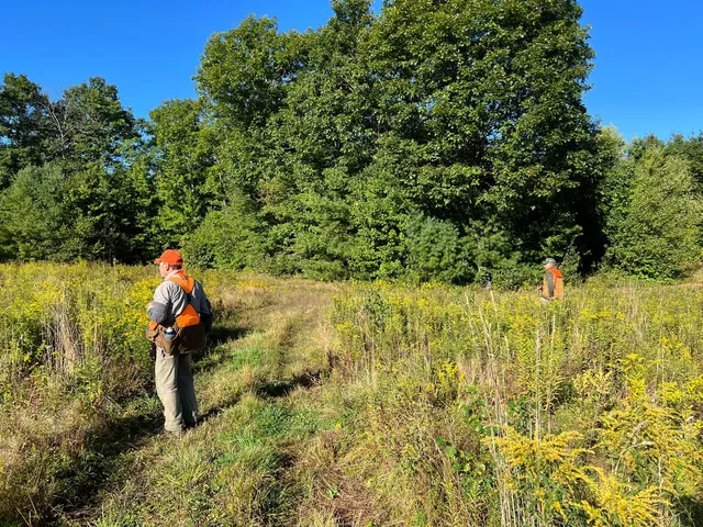 New England Upland LLC