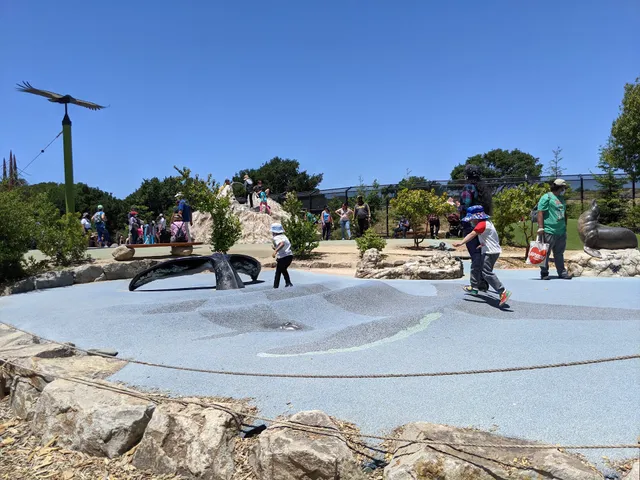 California Wilds! Playground