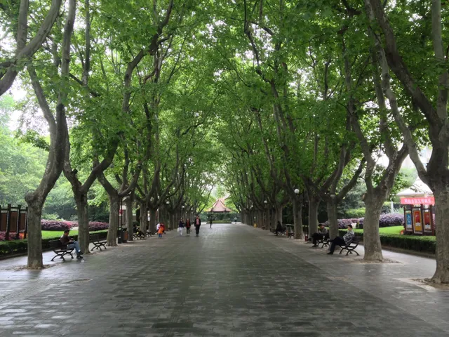 Xiangyang Park （South Gate）