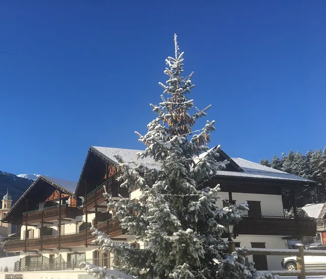 Residence Fior d'Alpe