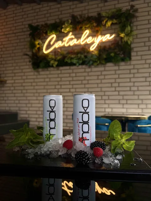 Cataleya Shisha Bar Berlin