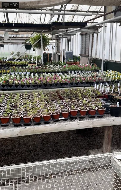 Echter's Greenhouses