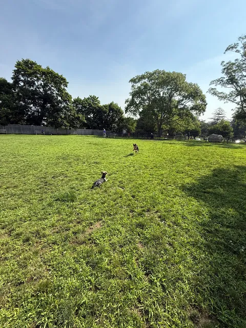 Lola Prentice Memorial Dog Park