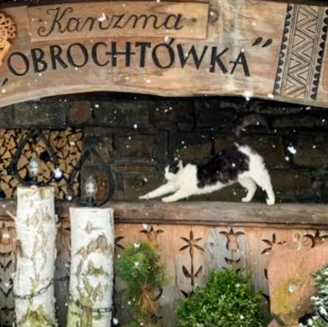 Obrochtówka