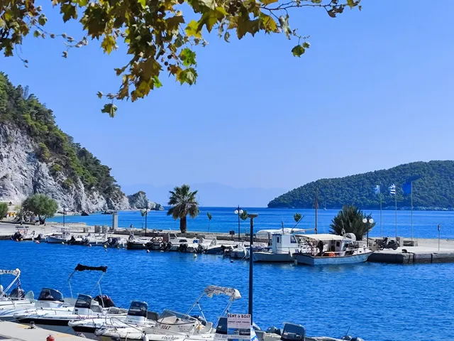 Oasis Deluxe Apartments