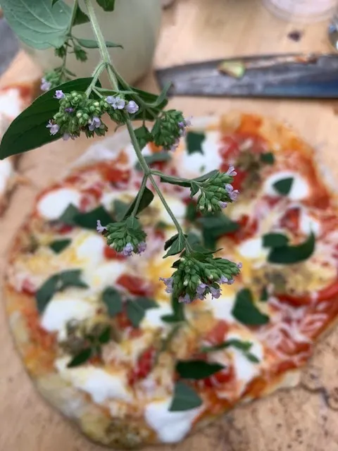 Restaurang Vinterträdgården