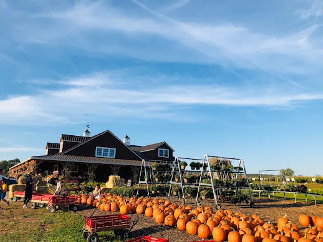 Phillips Farms Pick Your Own