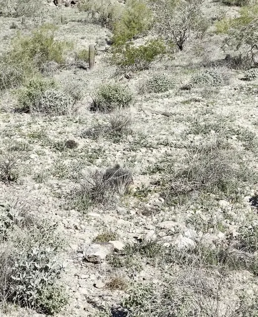 Desert Classic Bike Trail - Trailhead & Parking