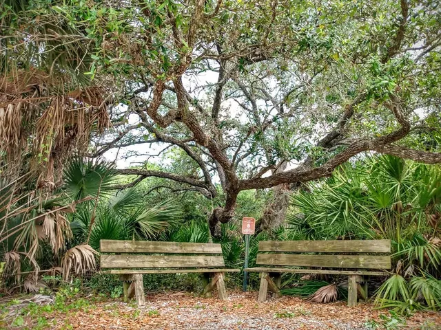 Cocohatchee Creek Preserve
